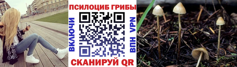 купить  цена  Заречный  Псилоцибиновые грибы мухоморы 